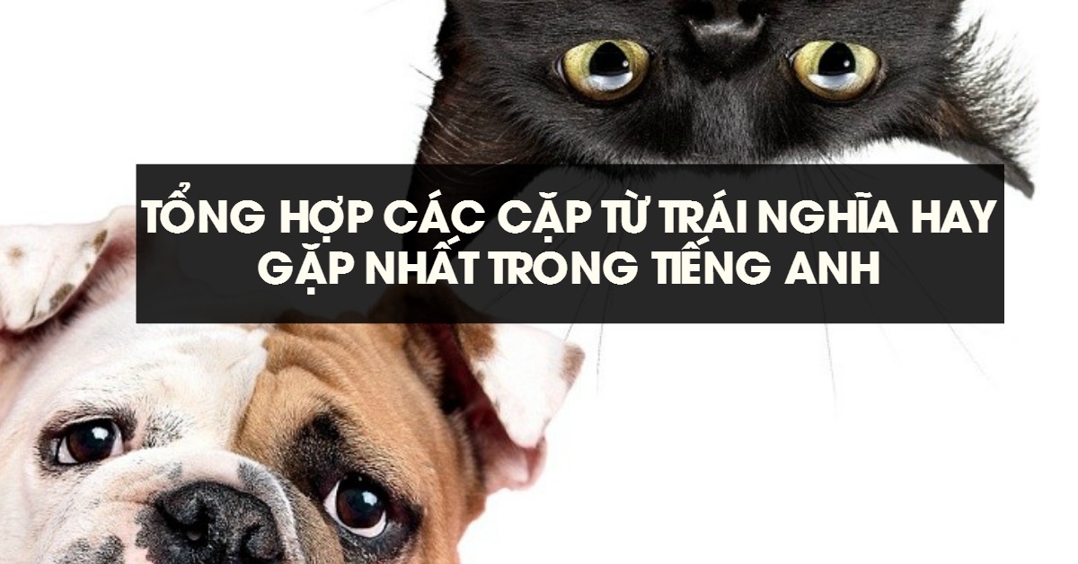 Tổng hợp các cặp từ trái nghĩa hay gặp nhất trong tiếng Anh