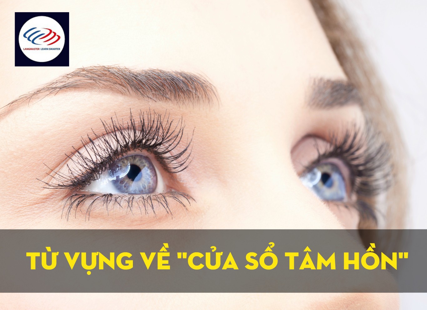 Từ vựng về cửa sổ tâm hồn