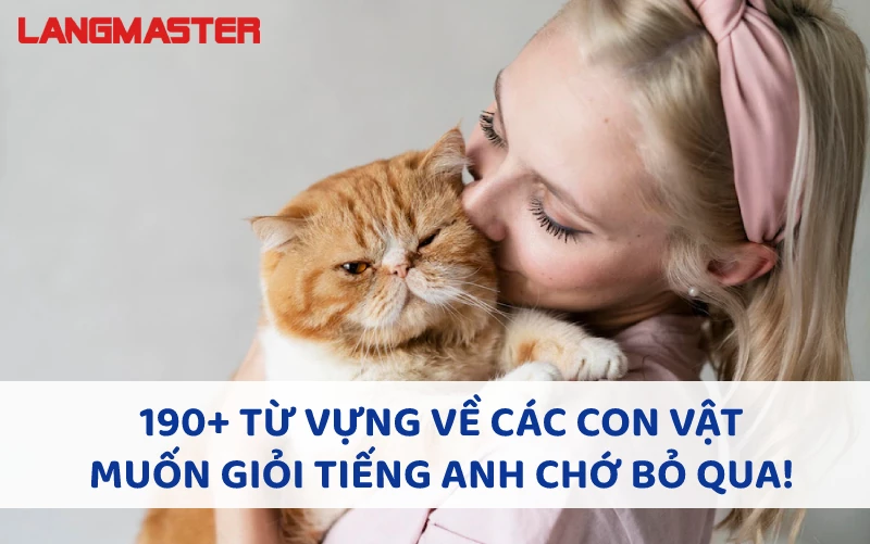 190+ TỪ VỰNG VỀ CÁC CON VẬT MUỐN GIỎI TIẾNG ANH CHỚ BỎ QUA!