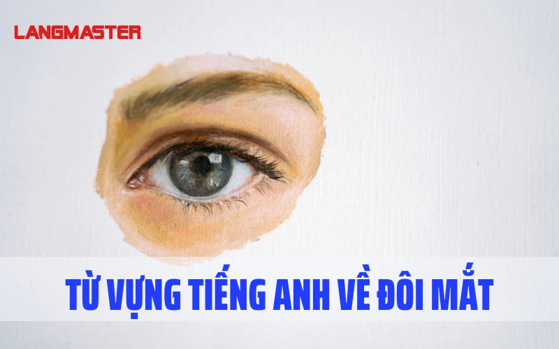 TỪ VỰNG TIẾNG ANH VỀ ĐÔI MẮT