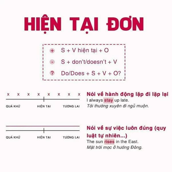 Thì hiện tại đơn