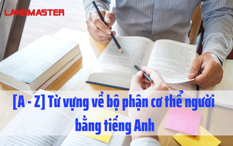 [A - Z] TỪ VỰNG VỀ BỘ PHẬN CƠ THỂ NGƯỜI BẰNG TIẾNG ANH