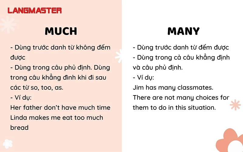 phân biệt much và many