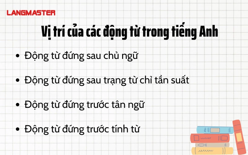 Vị trí của các động từ trong tiếng Anh