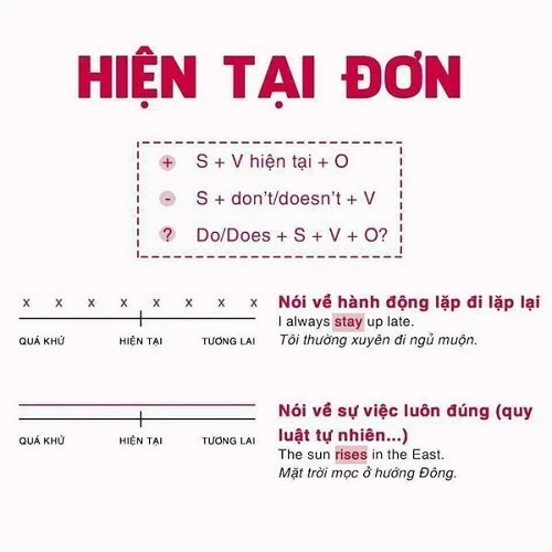 Cách dùng thì hiện tại đơn (present simple)