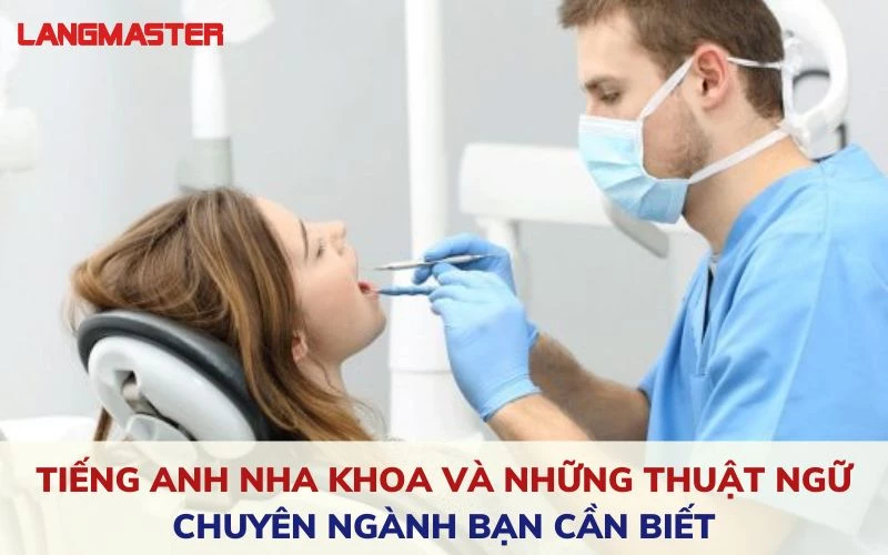 TIẾNG ANH NHA KHOA VÀ NHỮNG THUẬT NGỮ CHUYÊN NGÀNH BẠN CẦN BIẾT