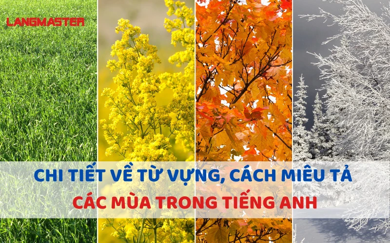 CHI TIẾT VỀ TỪ VỰNG, CÁCH MIÊU TẢ CÁC MÙA TRONG TIẾNG ANH