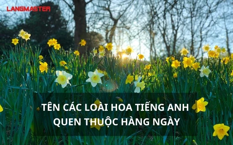 TÊN CÁC LOÀI HOA TIẾNG ANH QUEN THUỘC HÀNG NGÀY