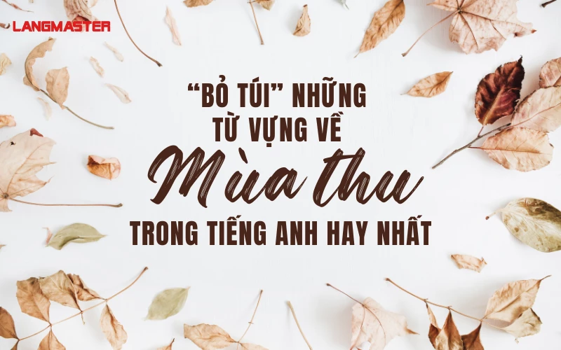 “BỎ TÚI” NHỮNG TỪ VỰNG VỀ MÙA THU TRONG TIẾNG ANH HAY NHẤT