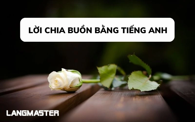 LỜI CHIA BUỒN BẰNG TIẾNG ANH SỬ DỤNG NHƯ THẾ NÀO?