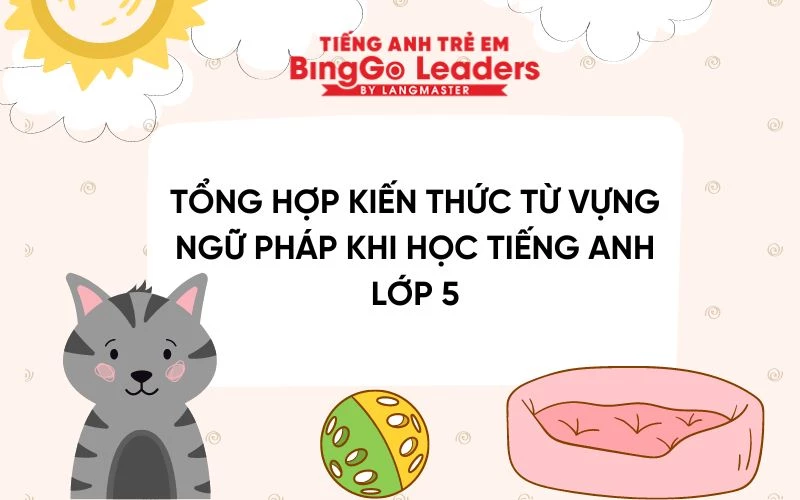 TỔNG HỢP KIẾN THỨC TỪ VỰNG NGỮ PHÁP KHI HỌC TIẾNG ANH LỚP 5