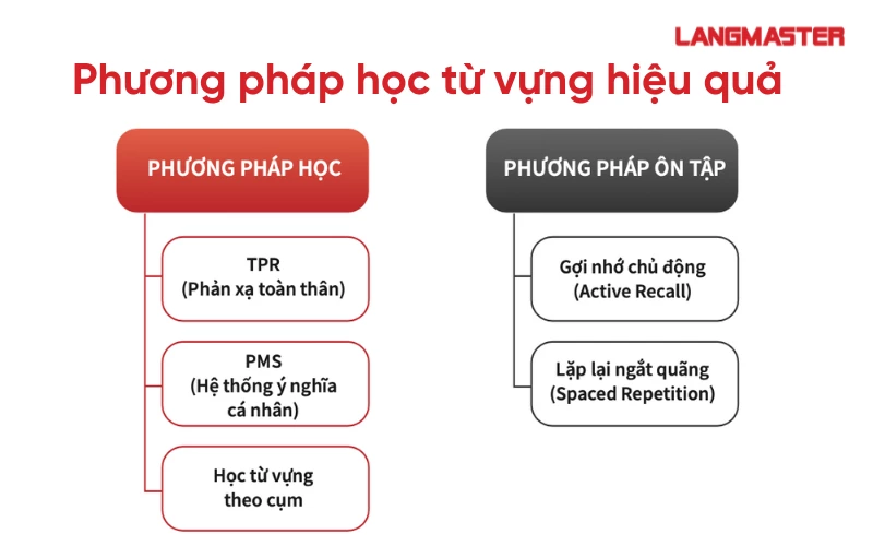 Cách học từ vựng tiếng Anh hiệu quả, nhanh thuộc nhớ lâu