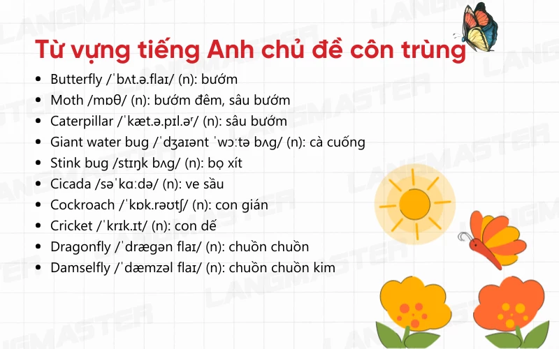 ừ vựng tiếng Anh cơ bản chủ đề côn trùng