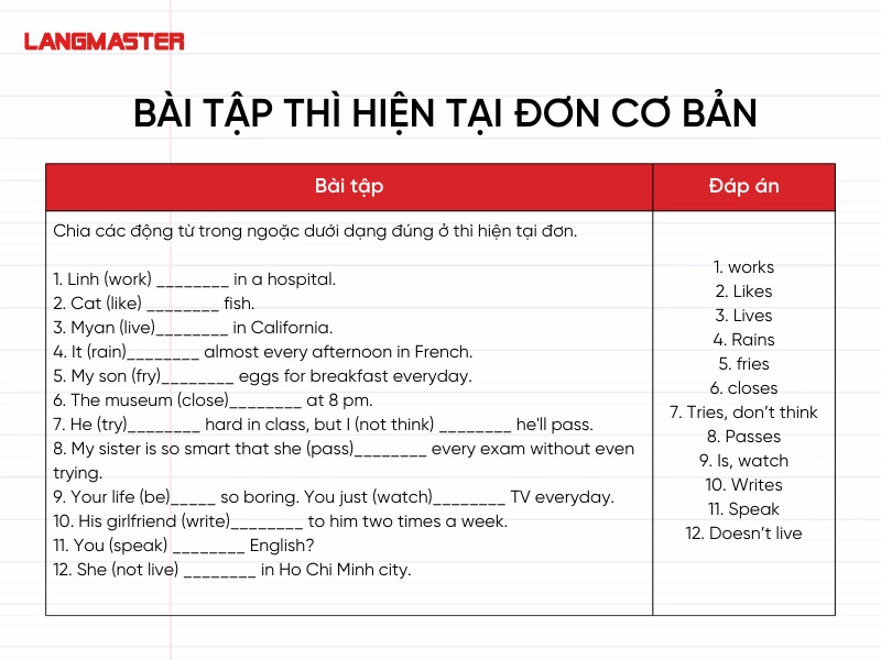 Bài tập thì hiện tại đơn cơ bản