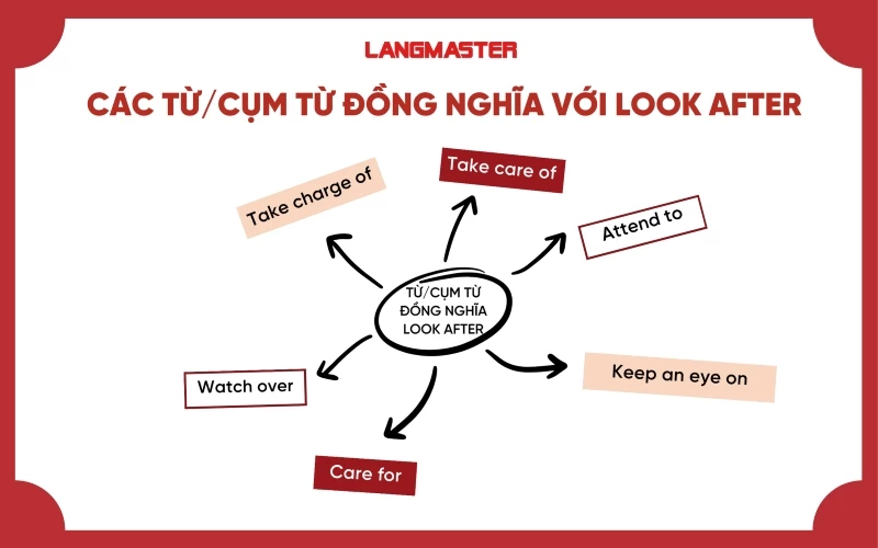 Các từ/cụm từ đồng nghĩa với Look after