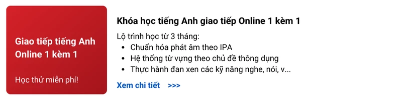 khóa học tiếng Anh online 1 kèm 1