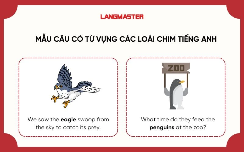 Ví dụ mẫu câu nói về các loài chim