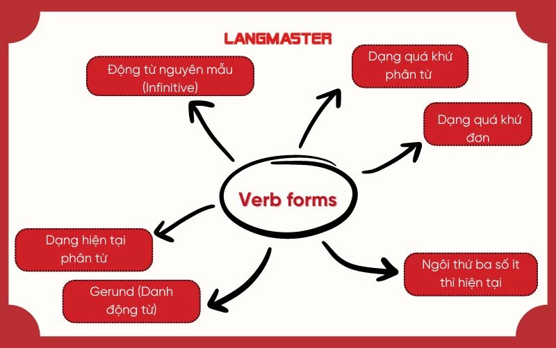 Các dạng của động từ (Verb forms)