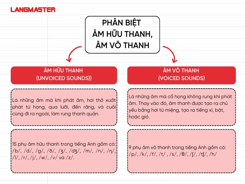 Phân biệt âm vô thanh và âm hữu thanh