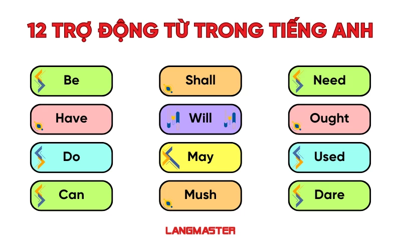 Trợ động từ trong tiếng Anh