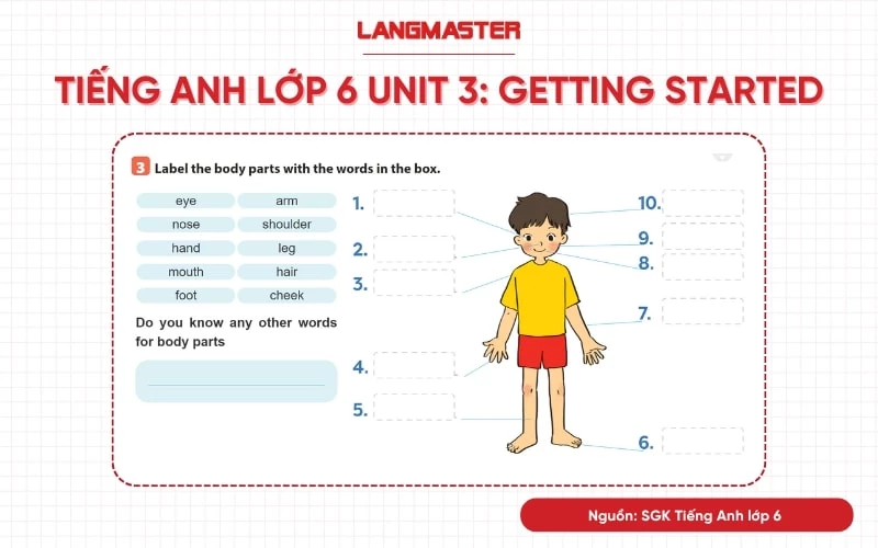 tiếng anh lớp 6 unit 3