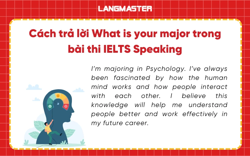 câu trả lời what is your major trong ielts spaeking part 1. 1