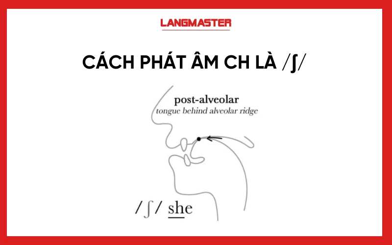 Cách phát âm ch là /ʃ/