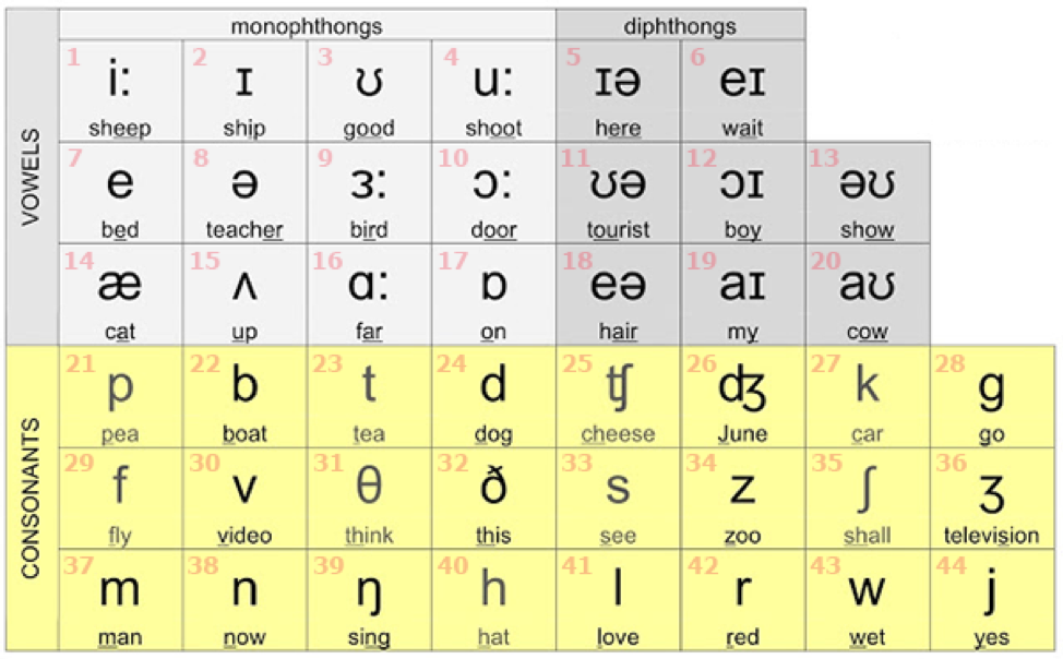 học tiếng anh lớp 6