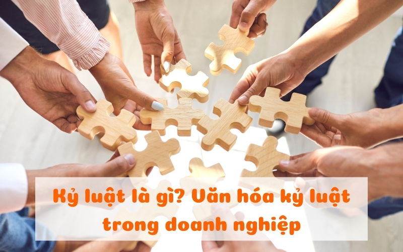 Kỷ luật là gì? Văn hóa kỷ luật trong doanh nghiệp