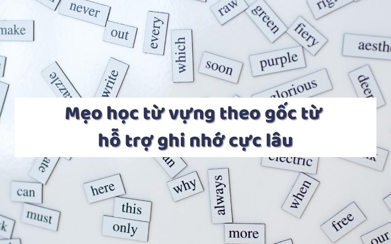 Mẹo học từ vựng theo gốc từ hỗ trợ ghi nhớ cực lâu